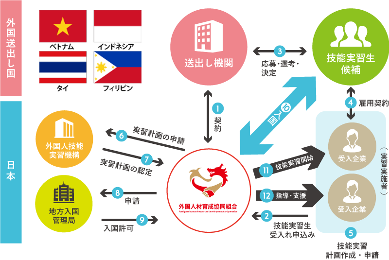 外国人材育成協同組合の役割