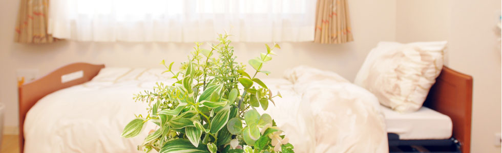 ページメイン画像